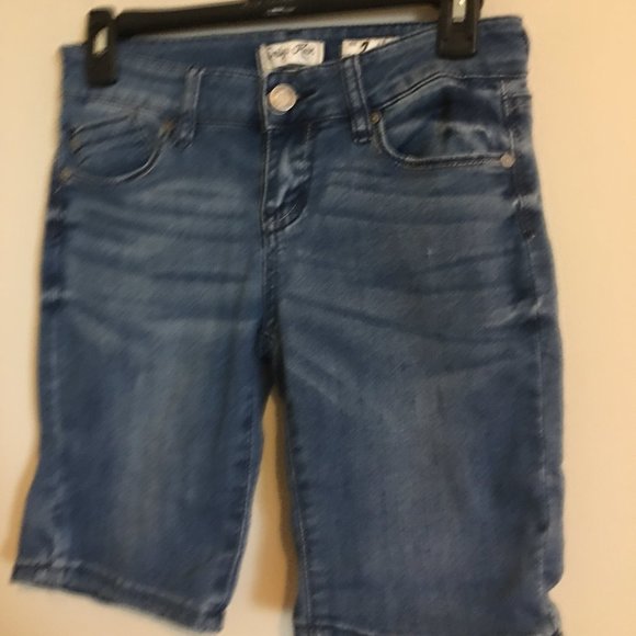 Indigo Rein Pants - JEAN SHORTS